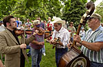 Shade tree jams