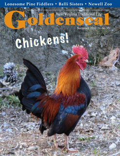 Spring 2010 cover