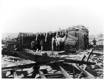 Badly damaged stable with horse