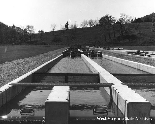 Fish Hatchery at Leetown