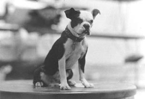 Mascot of the USS West Virginia