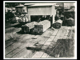 Loaded coal cars at mine Number 251. This picture is also found in the DeHaven Collection, Roll 1610 01.