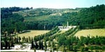 Florence American Cemetery