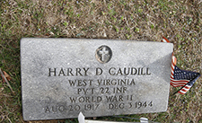 Military marker for Pvt. Harry D. Caudill in Zion Baptist Cemetery in Mason County, West Virginia. Find A Grave photo (Memorial No. 86114027) courtesy of 