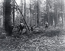 28th Infantry Division troops advance through the Huertgen Forest in Germany on November 2, 1944, at the start of a long, bloody fight. National Archives photo by Pfc. G. W. Goodman, U.S. Army